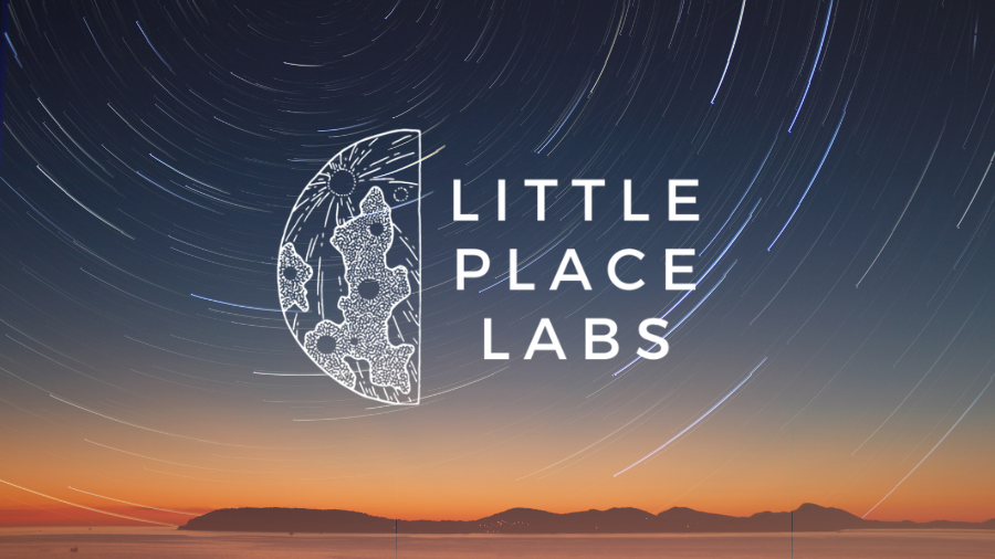 NSIN Alumni Spotlight: Little Place Labs